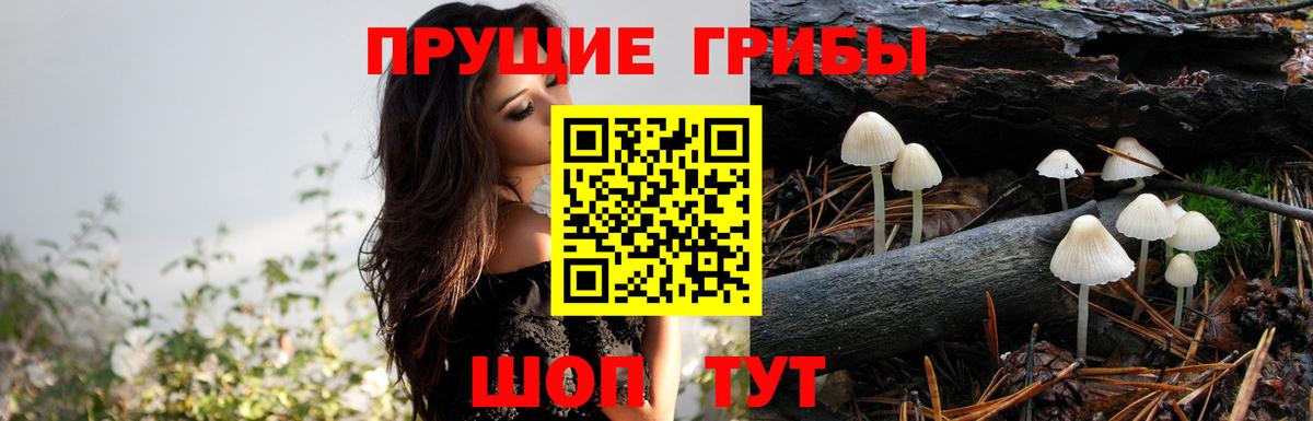 Ялта  Галлюциногенные грибы Psilocybine cubensis  Вход с VPN 